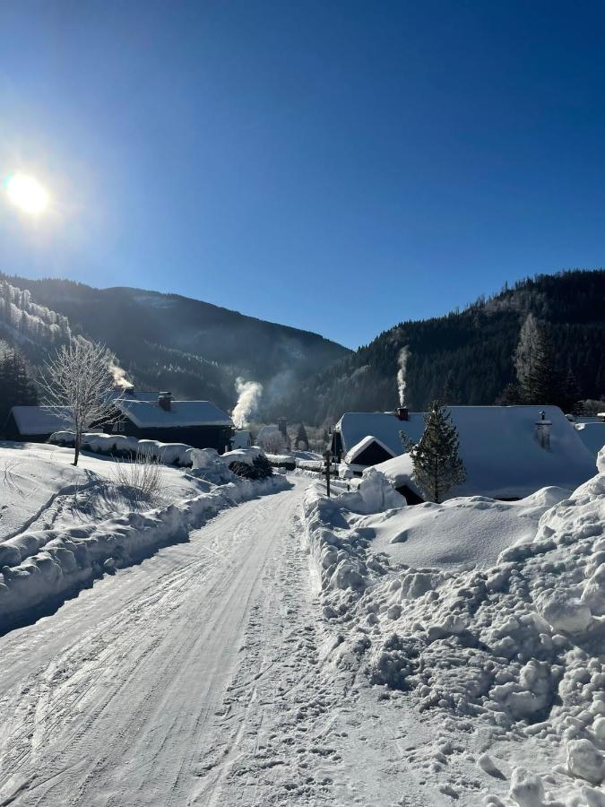 Frein Chalets - Wildalm Frein an der Murz Eksteriør bilde